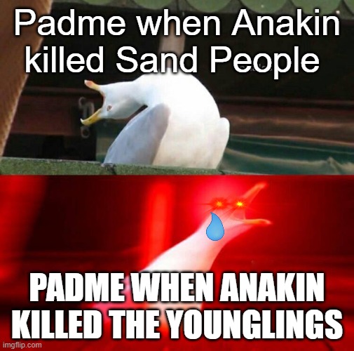 Inhaling Seagull  | Padme when Anakin killed Sand People; PADME WHEN ANAKIN KILLED THE YOUNGLINGS | image tagged in inhaling seagull,star wars prequels,memes,funny,gyatt,skibidi | made w/ Imgflip meme maker