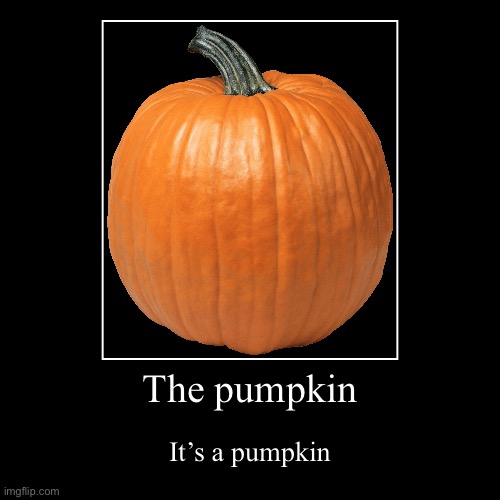 Za pumpkin | The pumpkin | It’s a pumpkin | image tagged in funny,demotivationals | made w/ Imgflip demotivational maker