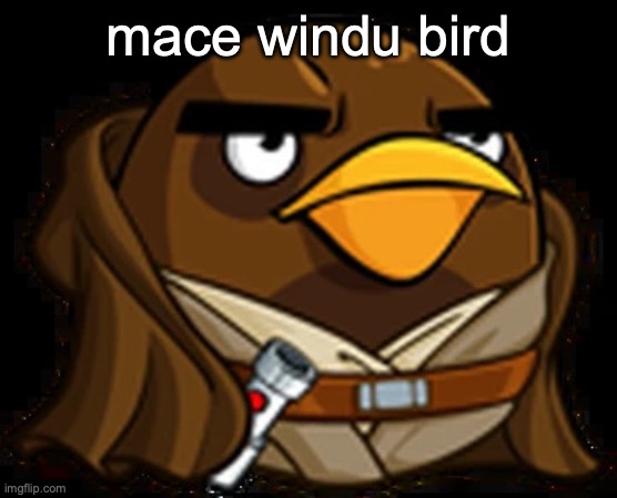 Moa Windu | mace windu bird | image tagged in moa windu | made w/ Imgflip meme maker