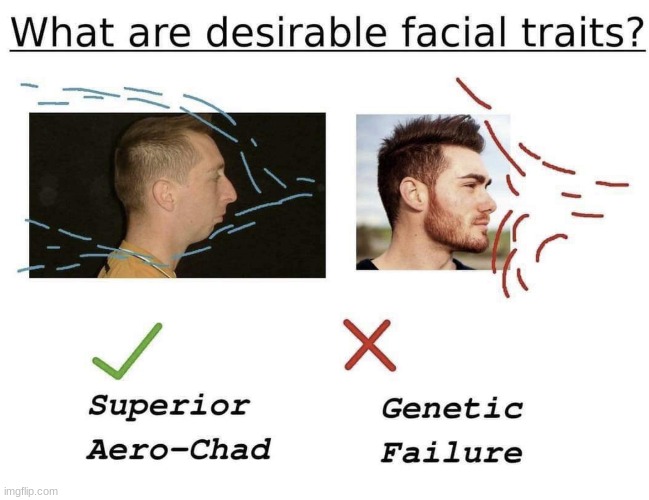 GENETIC FAILURE BAD AERO-CHAD GOOD | image tagged in gifs,memes,funny,shitpost,chat,aerodynamics | made w/ Imgflip meme maker