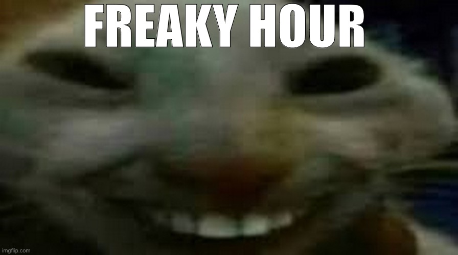 It’s freaky hour | FREAKY HOUR | image tagged in goofy ahh smiling cat | made w/ Imgflip meme maker