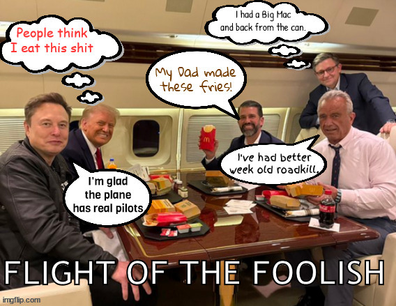 Flight of the Foolish | image tagged in flight of the foolish,maga mcmeal,roadkill' better rfk,dad made the fries,no autopilot thank you,ecoli | made w/ Imgflip meme maker