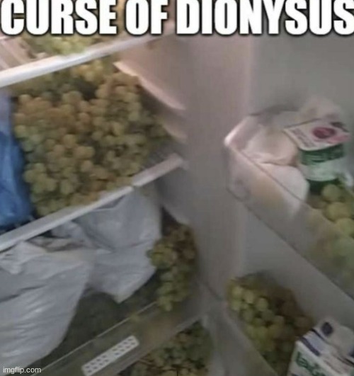 they're everywhere, somebody help | image tagged in gifs,memes,funny,shitpost,greek mythology,grapes | made w/ Imgflip meme maker