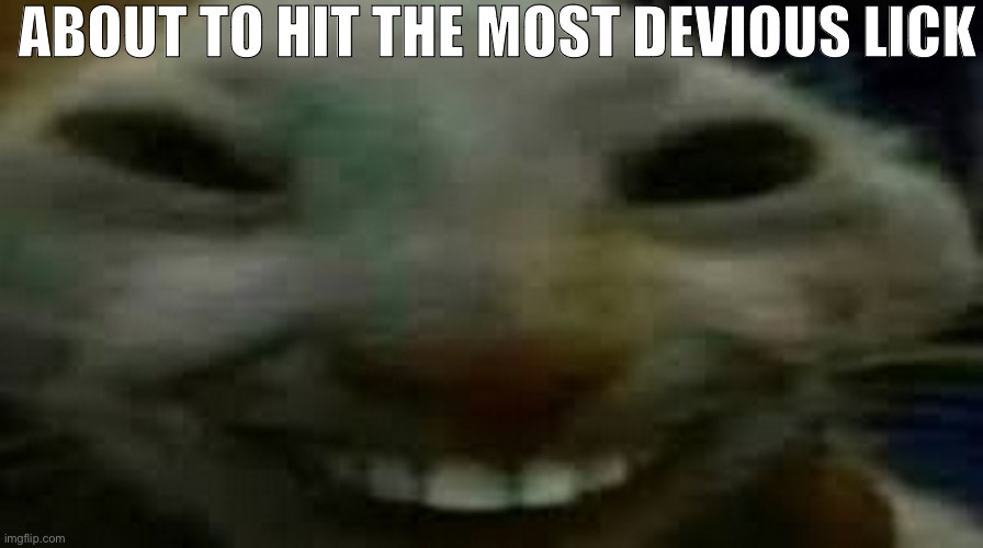 goofy ahh smiling cat | ABOUT TO HIT THE MOST DEVIOUS LICK | image tagged in goofy ahh smiling cat | made w/ Imgflip meme maker