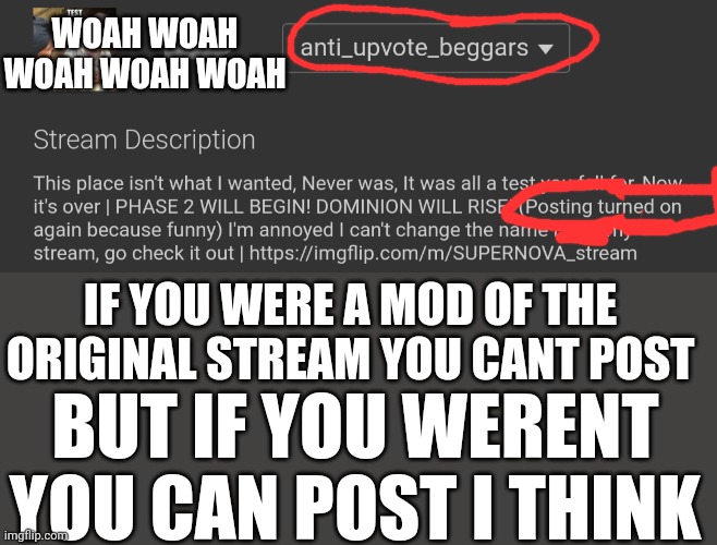 THE HECK? TRY POSTING | WOAH WOAH WOAH WOAH WOAH; IF YOU WERE A MOD OF THE ORIGINAL STREAM YOU CANT POST; BUT IF YOU WERENT YOU CAN POST I THINK | image tagged in aub | made w/ Imgflip meme maker