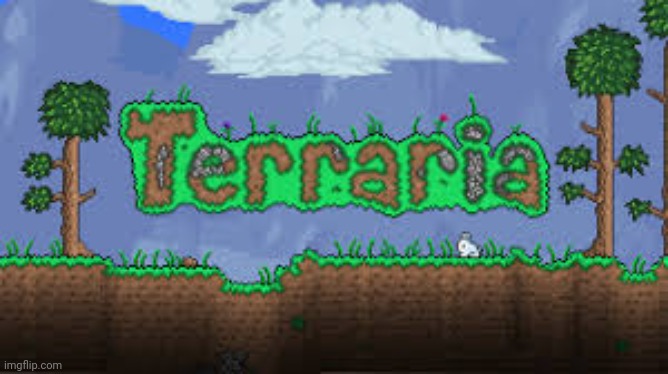 image tagged in terraria lol | made w/ Imgflip meme maker