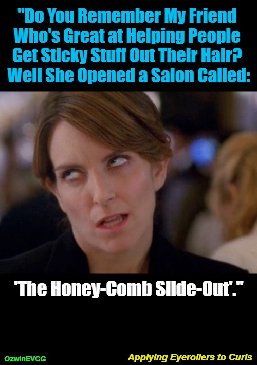 AETC2 | "Do You Remember My Friend 

Who's Great at Helping People 

Get Sticky Stuff Out Their Hair? 

Well She Opened a Salon Called:; 'The Honey-Comb Slide-Out'."; Applying Eyerollers to Curls; OzwinEVCG | image tagged in face you make,friends,punning amok,annoying tina,work life,breaking news | made w/ Imgflip meme maker