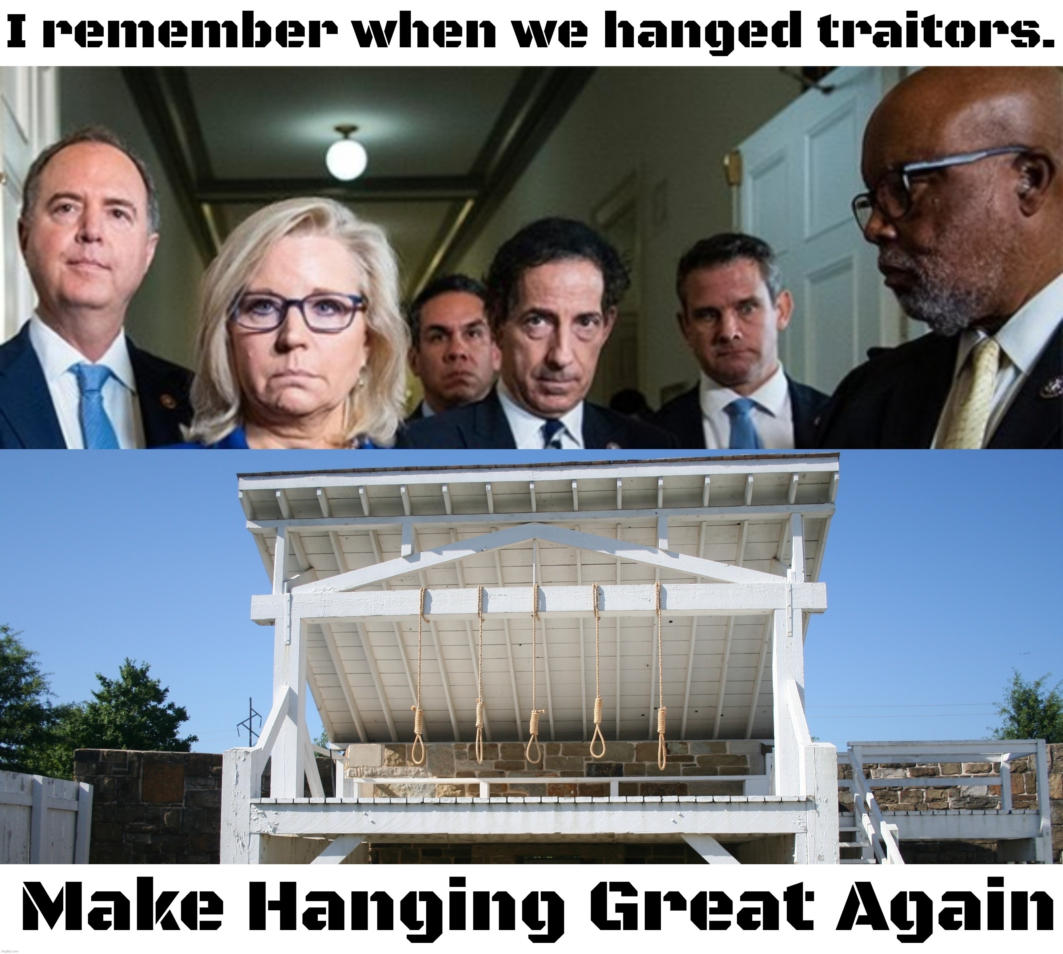I remember when we hanged traitors. | image tagged in hanging out,treason,traitors,capital punishment,capital one,sedition | made w/ Imgflip meme maker