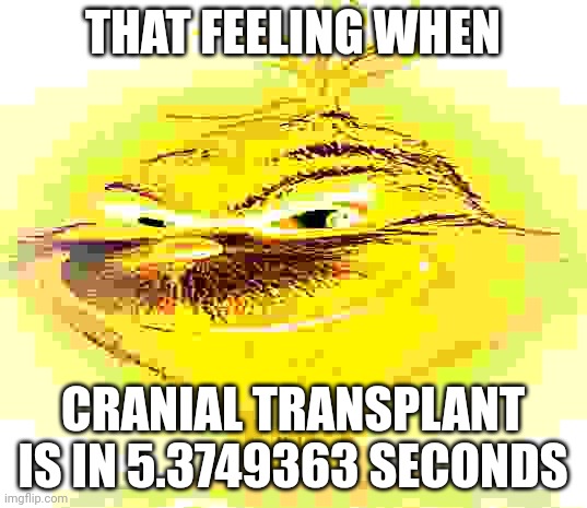 Yellow grinch | THAT FEELING WHEN; CRANIAL TRANSPLANT IS IN 5.3749363 SECONDS | image tagged in dark blue grinch | made w/ Imgflip meme maker