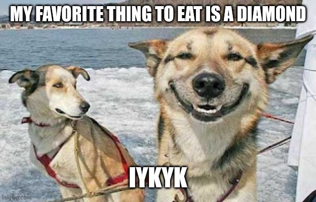 Original Stoner Dog | MY FAVORITE THING TO EAT IS A DIAMOND; IYKYK | image tagged in memes,original stoner dog | made w/ Imgflip meme maker