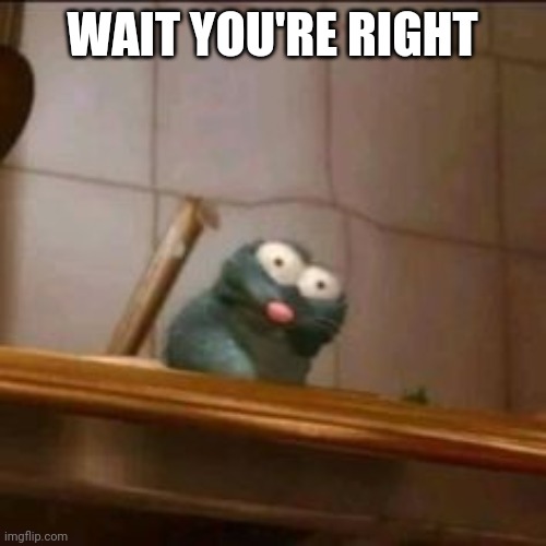 Wait wut | WAIT YOU'RE RIGHT | image tagged in wait wut | made w/ Imgflip meme maker