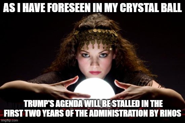 They are going to be a Problem for Trump and his agenda!! | AS I HAVE FORESEEN IN MY CRYSTAL BALL; TRUMP'S AGENDA WILL BE STALLED IN THE FIRST TWO YEARS OF THE ADMINISTRATION BY RINOS | image tagged in fortune teller,rino,republicans | made w/ Imgflip meme maker