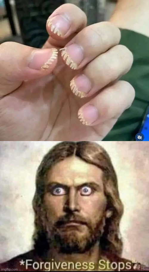 image tagged in jesus forgiveness stops,nails,nailed it | made w/ Imgflip meme maker