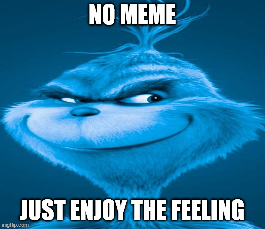 That feeling when | NO MEME; JUST ENJOY THE FEELING | image tagged in blue grinch,that feeling when,its blank | made w/ Imgflip meme maker