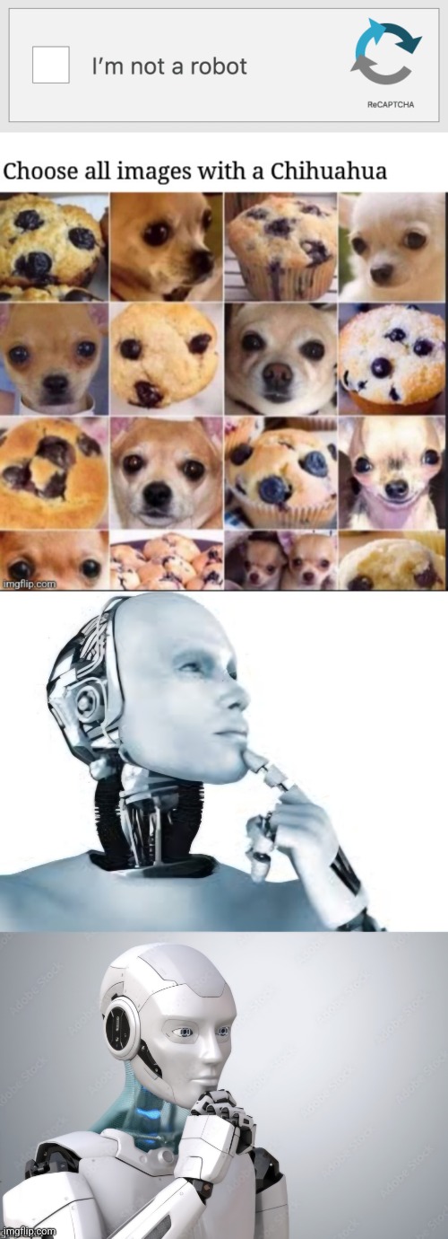 Chihuahua or Muffin? | image tagged in i am not a robot,chihuahua,muffin,robot,dilemma | made w/ Imgflip meme maker