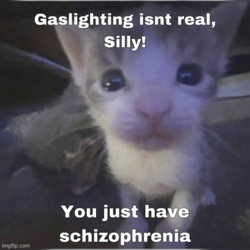 like gaslighting isnt even a real word wdym | made w/ Imgflip meme maker