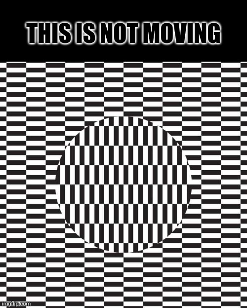 Is this moving? | THIS IS NOT MOVING | image tagged in eye,trick,optical illusion,black and white | made w/ Imgflip meme maker