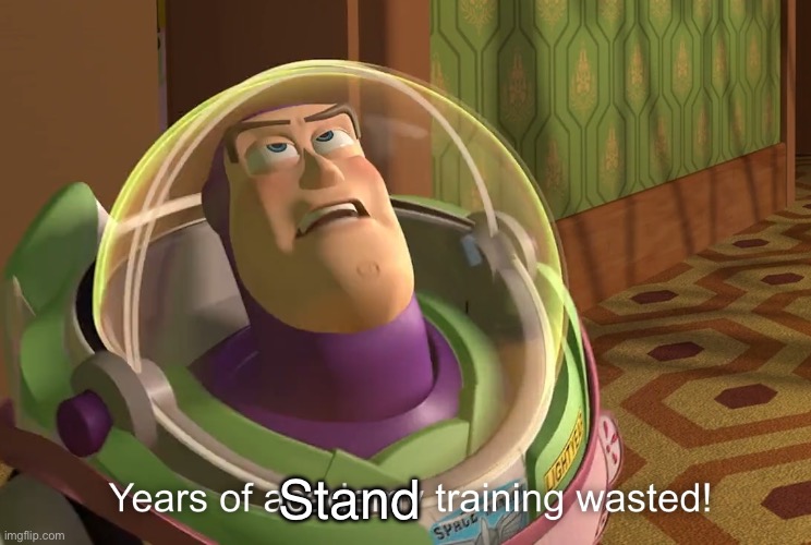 years of academy training wasted | Stand | image tagged in years of academy training wasted | made w/ Imgflip meme maker