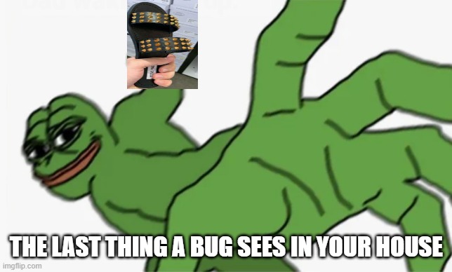 pepe punch | THE LAST THING A BUG SEES IN YOUR HOUSE | image tagged in pepe punch | made w/ Imgflip meme maker