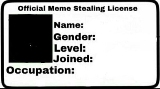 offical meme stealing license Blank Meme Template