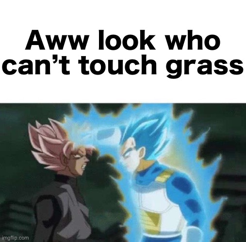 Aww look who can’t say | Aww look who can’t touch grass | image tagged in aww look who can t say | made w/ Imgflip meme maker