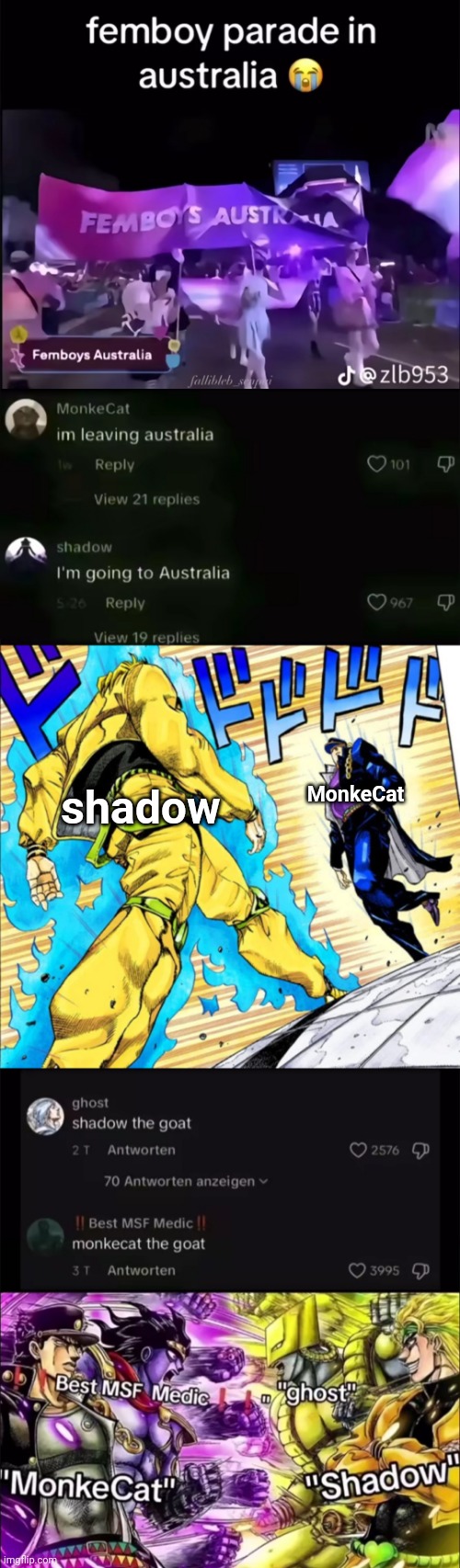 shadow; MonkeCat | image tagged in jojo's walk | made w/ Imgflip meme maker