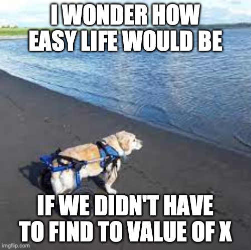 Dog at beach | I WONDER HOW EASY LIFE WOULD BE; IF WE DIDN'T HAVE TO FIND TO VALUE OF X | image tagged in dog at beach,math | made w/ Imgflip meme maker