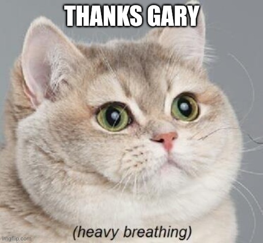 Heavy Breathing Cat Meme | THANKS GARY | image tagged in memes,heavy breathing cat | made w/ Imgflip meme maker