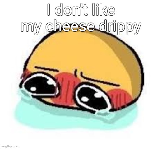 amb shamb bbbmba | I don't like my cheese drippy | image tagged in amb shamb bbbmba | made w/ Imgflip meme maker