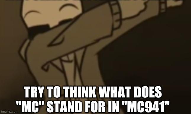 Sans pose | TRY TO THINK WHAT DOES ''MC'' STAND FOR IN ''MC941'' | image tagged in sans pose | made w/ Imgflip meme maker