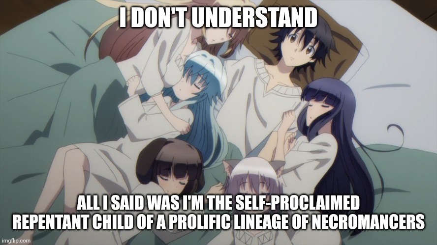 Anime Harem | I DON'T UNDERSTAND; ALL I SAID WAS I'M THE SELF-PROCLAIMED REPENTANT CHILD OF A PROLIFIC LINEAGE OF NECROMANCERS | image tagged in anime harem | made w/ Imgflip meme maker