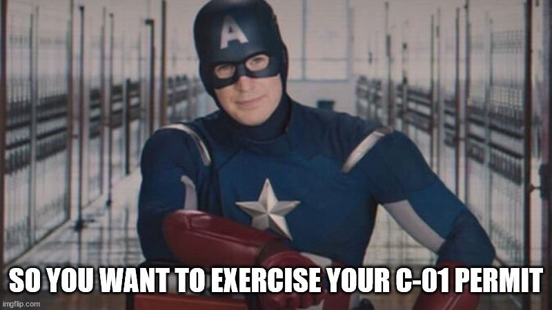 captain america so you | SO YOU WANT TO EXERCISE YOUR C-01 PERMIT | image tagged in captain america so you | made w/ Imgflip meme maker