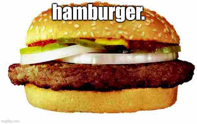 hamburger | hamburger. | image tagged in hamburger | made w/ Imgflip meme maker