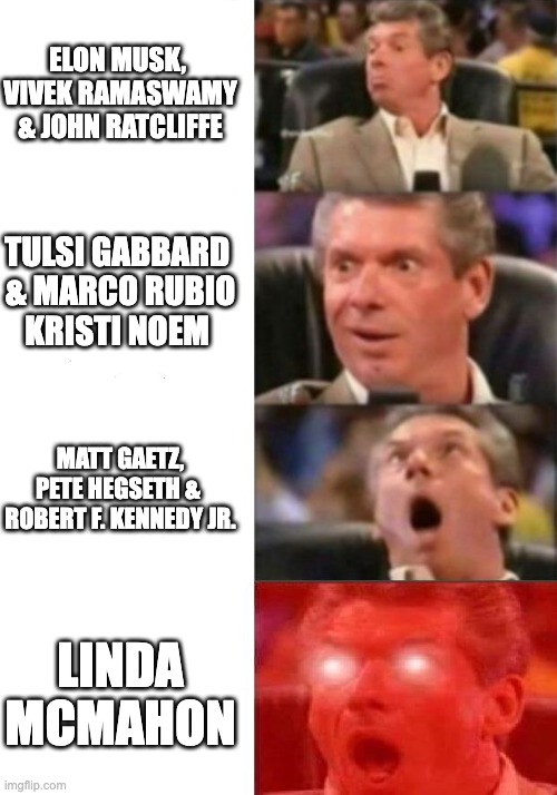 USA 2025... | ELON MUSK, 
VIVEK RAMASWAMY
& JOHN RATCLIFFE; TULSI GABBARD 
& MARCO RUBIO
KRISTI NOEM; MATT GAETZ,
PETE HEGSETH & 
ROBERT F. KENNEDY JR. LINDA MCMAHON | image tagged in mr mcmahon reaction | made w/ Imgflip meme maker