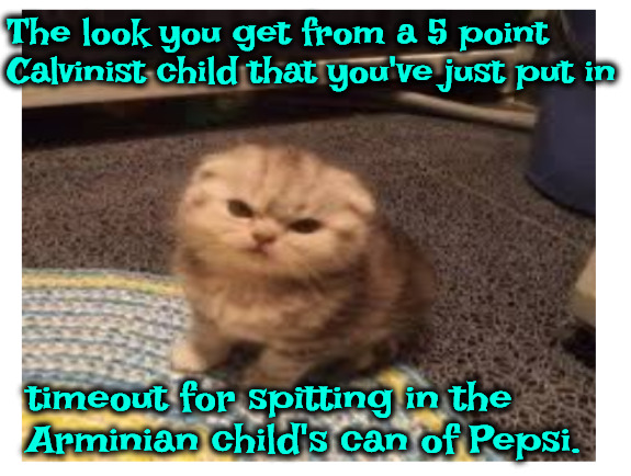 The Pepsi Spitter | The look you get from a 5 point Calvinist child that you've just put in; timeout for spitting in the Arminian child's can of Pepsi. | image tagged in calvinism,arminian,molinism,spitting into someone's drink,timeout,behaving badly | made w/ Imgflip meme maker