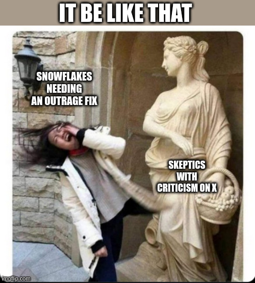 IT BE LIKE THAT; SNOWFLAKES NEEDING AN OUTRAGE FIX; SKEPTICS WITH CRITICISM ON X | image tagged in funny memes | made w/ Imgflip meme maker