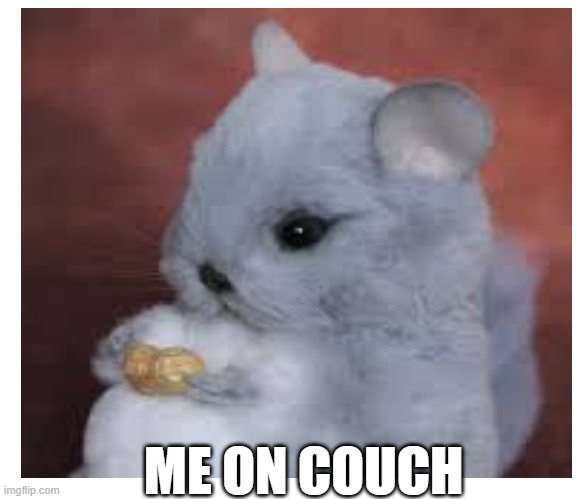 ME ON COUCH | image tagged in food | made w/ Imgflip meme maker