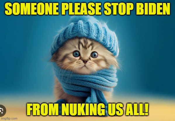 A Nuclear world war 3 is not good for kittens | SOMEONE PLEASE STOP BIDEN; FROM NUKING US ALL! | image tagged in kittens,cats,ukraine,nuclear war,russia,fjb | made w/ Imgflip meme maker