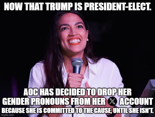 AOC is fully committed to the cause, as long as it is politically expedient. | NOW THAT TRUMP IS PRESIDENT-ELECT. AOC HAS DECIDED TO DROP HER GENDER PRONOUNS FROM HER         ACCOUNT; BECAUSE SHE IS COMMITTED TO THE CAUSE, UNTIL SHE ISN'T. | image tagged in aoc crazy,no more pronouns for her | made w/ Imgflip meme maker