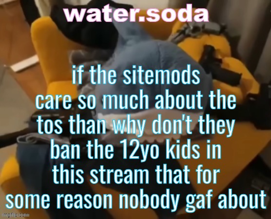 idc if they're a "liked user" they can come back later, in a year or so | if the sitemods care so much about the tos than why don't they ban the 12yo kids in this stream that for some reason nobody gaf about | image tagged in shart | made w/ Imgflip meme maker