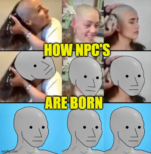 NPC"S are 4B's that are not down 4D | HOW NPC'S; ARE BORN | image tagged in npc,npc meme,feminism,feminist,4b,triggered | made w/ Imgflip meme maker