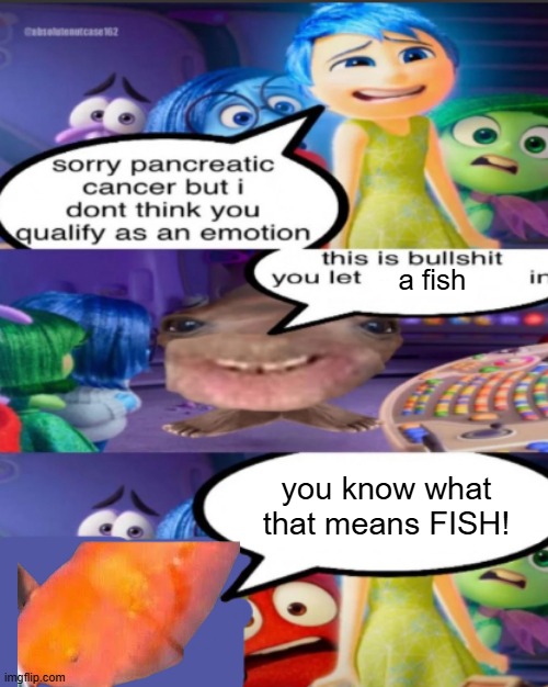 sorry pancreatic cancer but I don’t think you qualify as an emot | a fish; you know what that means FISH! | image tagged in sorry pancreatic cancer but i don t think you qualify as an emot | made w/ Imgflip meme maker