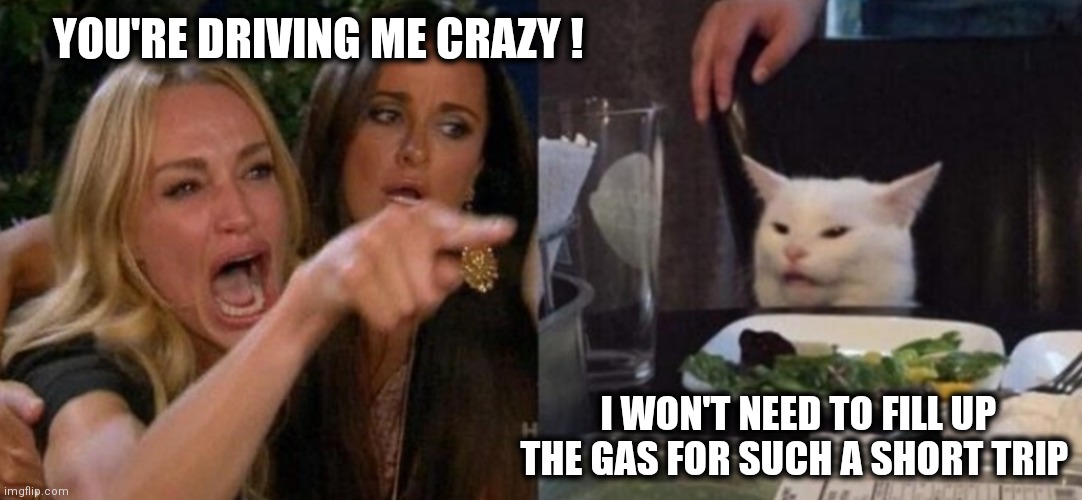 Driving crazy | YOU'RE DRIVING ME CRAZY ! I WON'T NEED TO FILL UP THE GAS FOR SUCH A SHORT TRIP | image tagged in smudge and karen | made w/ Imgflip meme maker