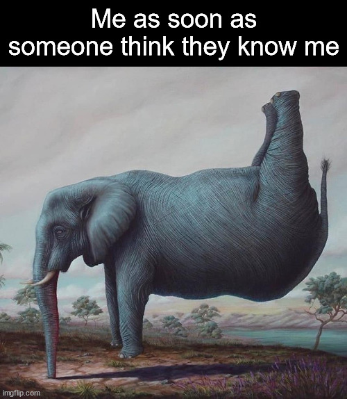 Me as soon as someone think they know me | Me as soon as someone think they know me | image tagged in memes | made w/ Imgflip meme maker