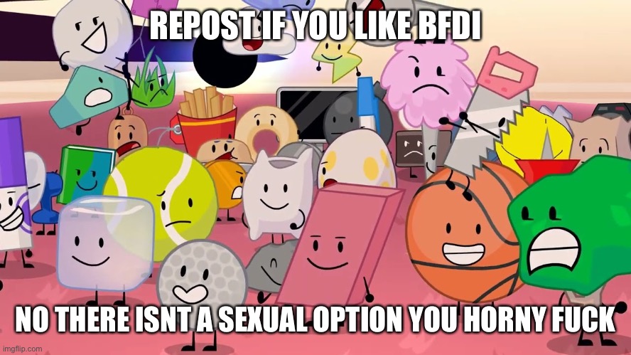 TPOT characters in the IDFB intro | REPOST IF YOU LIKE BFDI; NO THERE ISNT A SEXUAL OPTION YOU HORNY FUCK | image tagged in tpot characters in the idfb intro | made w/ Imgflip meme maker