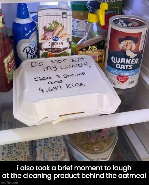 Seven shrimp and... | i also took a brief moment to laugh at the cleaning product behind the oatmeal | image tagged in funny memes,refrigerator,leftovers,goo gone | made w/ Imgflip meme maker