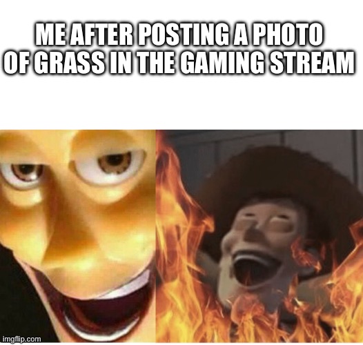 I’m so evil | ME AFTER POSTING A PHOTO OF GRASS IN THE GAMING STREAM | image tagged in fire woody,grass,gaming | made w/ Imgflip meme maker