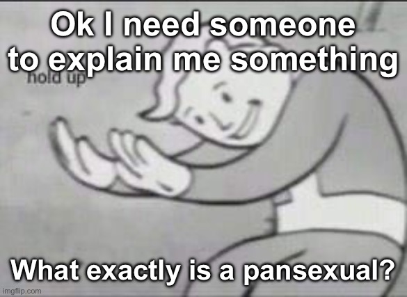 Do they love pans or something? | Ok I need someone to explain me something; What exactly is a pansexual? | image tagged in fallout hold up,msmg | made w/ Imgflip meme maker