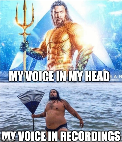 True | MY VOICE IN MY HEAD; MY VOICE IN RECORDINGS | image tagged in high quality vs low quality aquaman | made w/ Imgflip meme maker