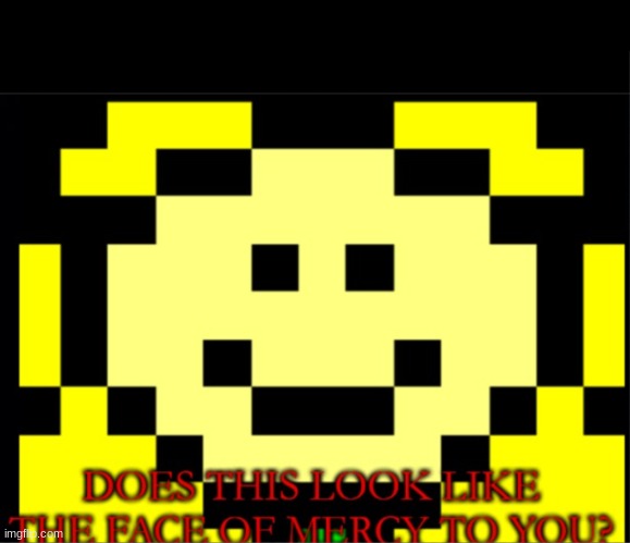 image tagged in flowey does this look like the face of mercy to you | made w/ Imgflip meme maker